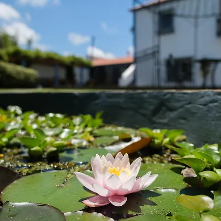 Апартаменты Quinta Morazes