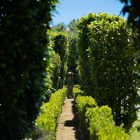 Quinta Morazes Рибейра-Гранди