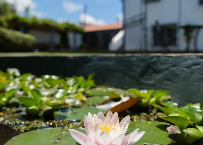 Lägenhet Quinta Morazes