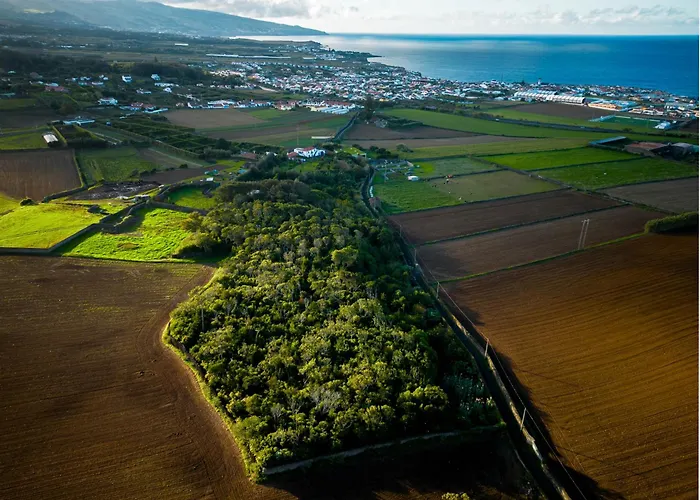 Quinta Morazes Apartman *